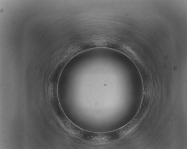 X0000062880213200601171456