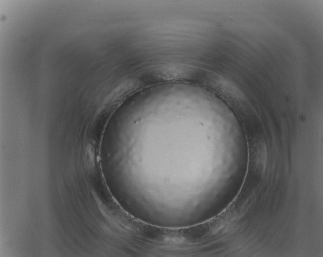 X0000062880214200601171456