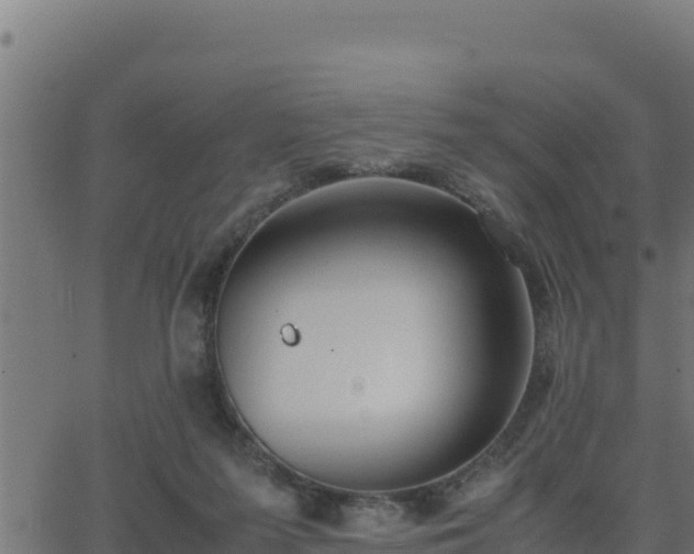 X0000062880215200601171456