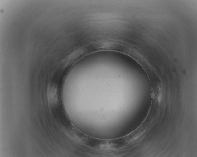 X0000062880216200601171456