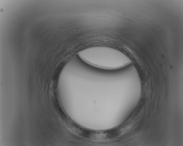 X0000062880217200601171456