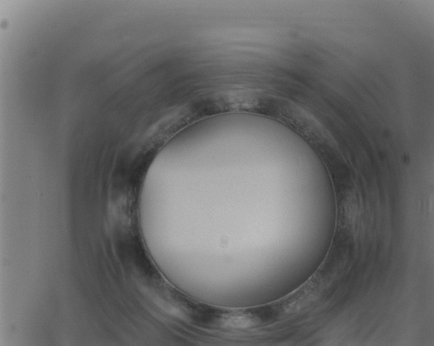 X0000062880218200601171456