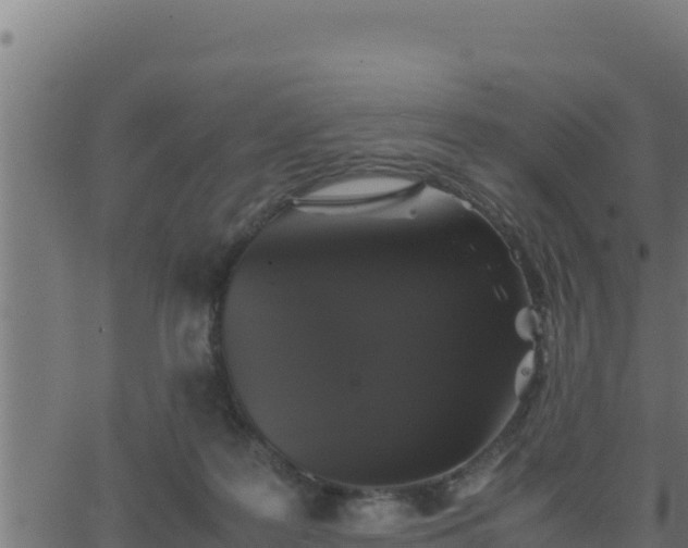 X0000062880219200601171456