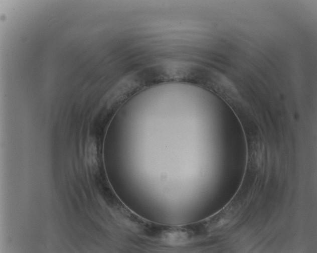 X0000062880220200601171456