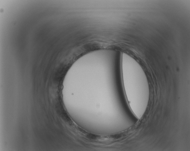 X0000062880221200601171456