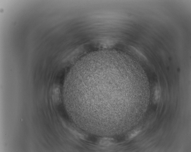 X0000062880222200601171456