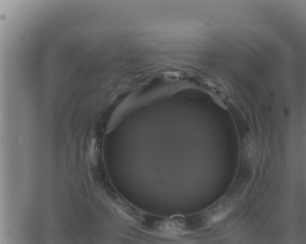 X0000062880223200601171456