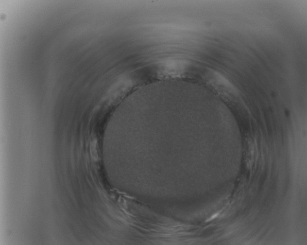 X0000062880224200601171456