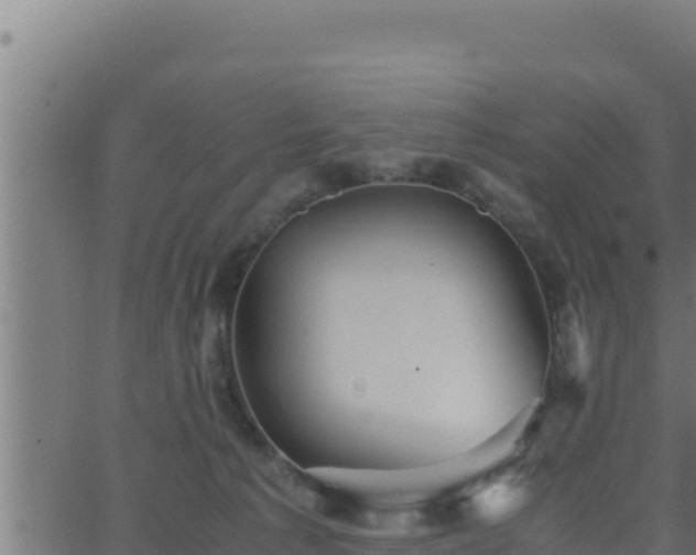 X0000062880225200601171456