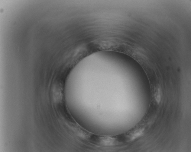 X0000062880226200601171456