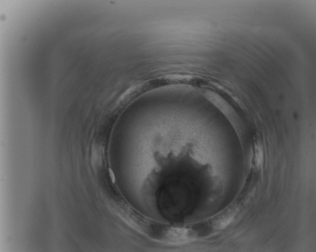 X0000062880227200601171456