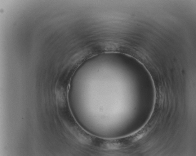 X0000062880228200601171456