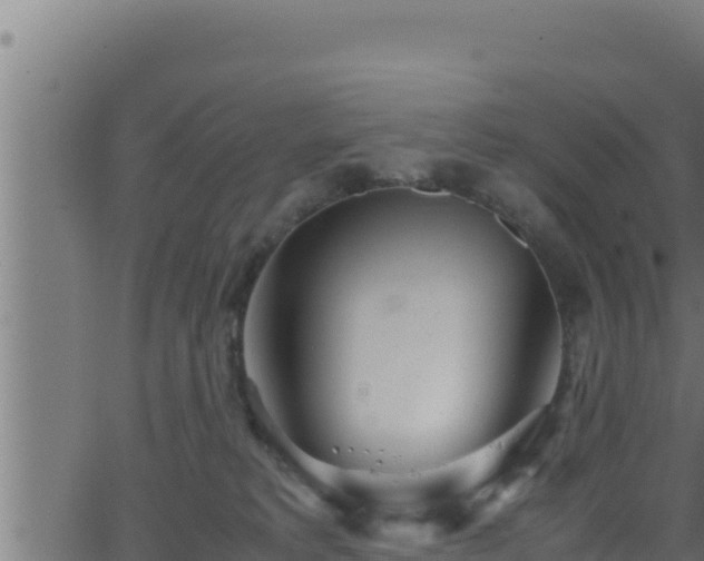 X0000062880229200601171456