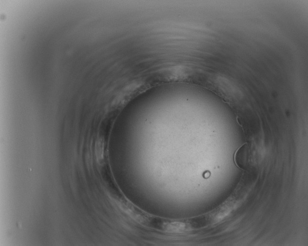 X0000062880230200601171456