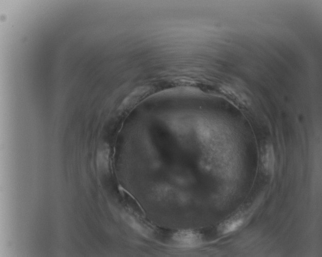 X0000062880231200601171456