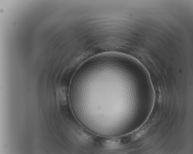 X0000062880232200601171456