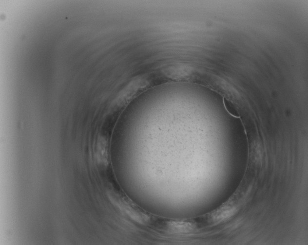 X0000062880234200601171456