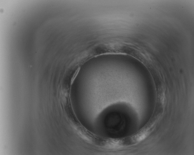 X0000062880235200601171455