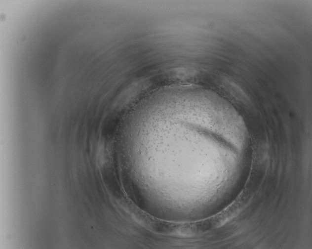 X0000062880236200601171455