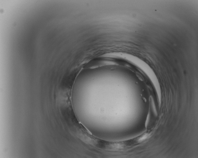 X0000062880237200601171455