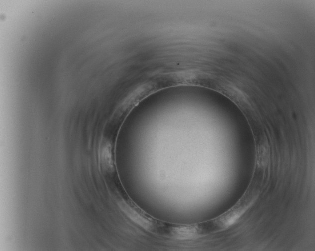 X0000062880238200601171455