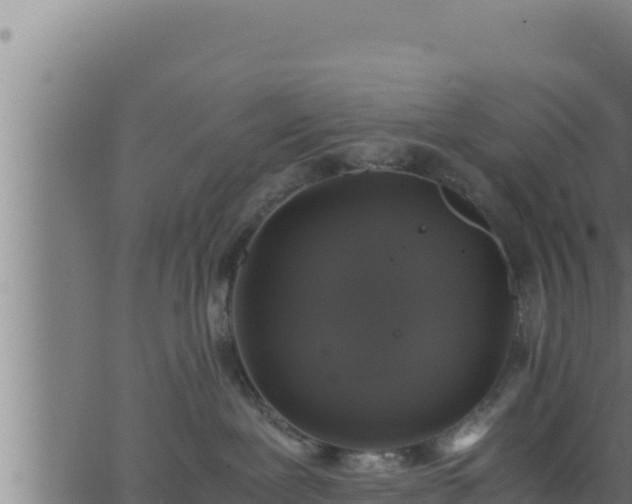 X0000062880239200601171455