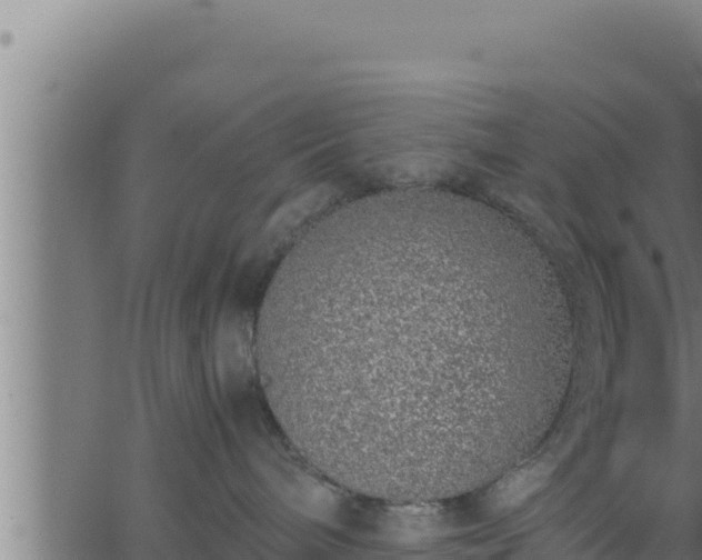 X0000062880240200601171455