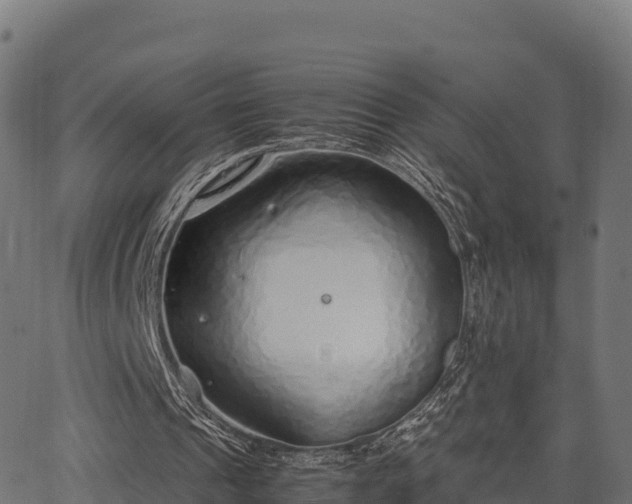 X0000062880241200601171455