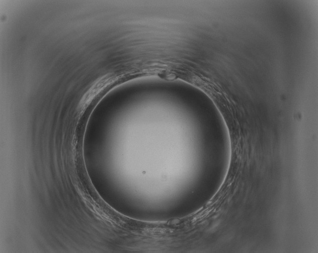 X0000062880242200601171455