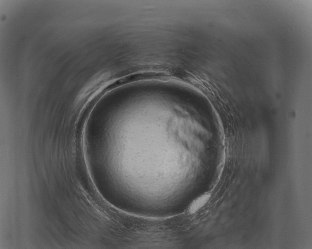 X0000062880243200601171455