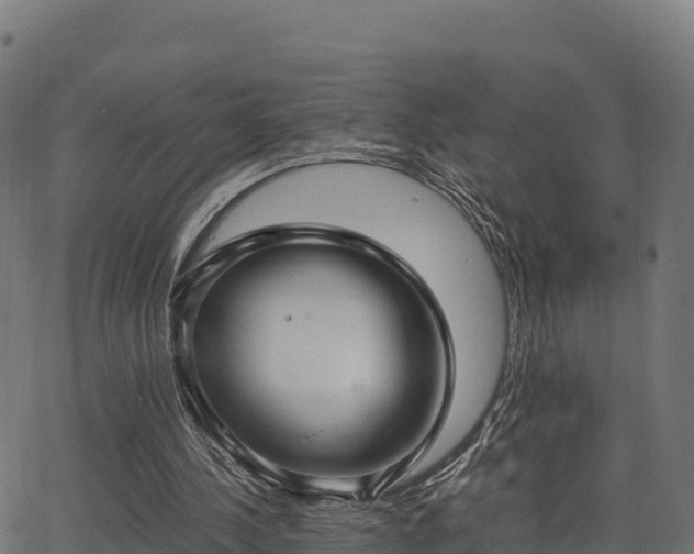 X0000062880244200601171455