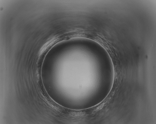 X0000062880245200601171455