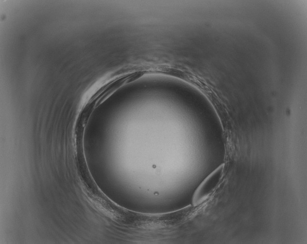 X0000062880246200601171455