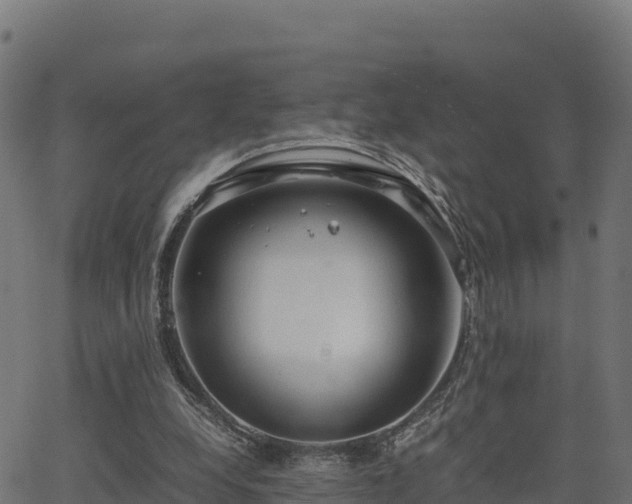 X0000062880248200601171455