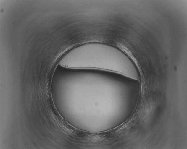 X0000062880249200601171455