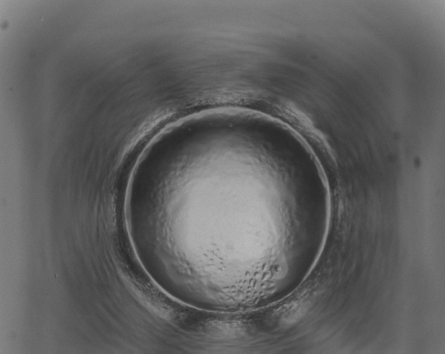 X0000062880250200601171455