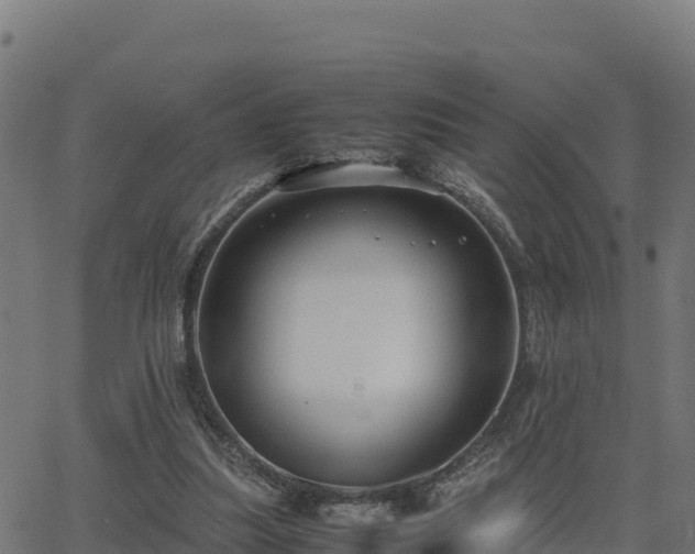 X0000062880251200601171455