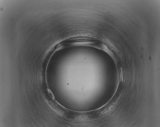 X0000062880252200601171455