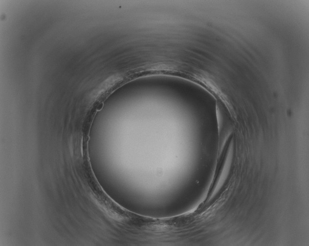 X0000062880253200601171455