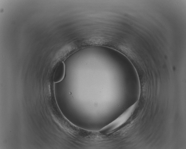 X0000062880254200601171455