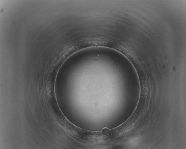 X0000062880255200601171455