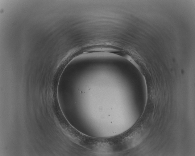 X0000062880256200601171455