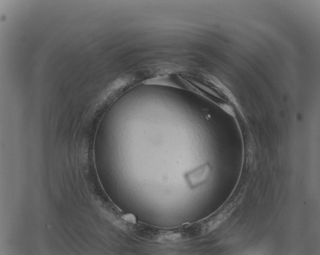 X0000062880257200601171455