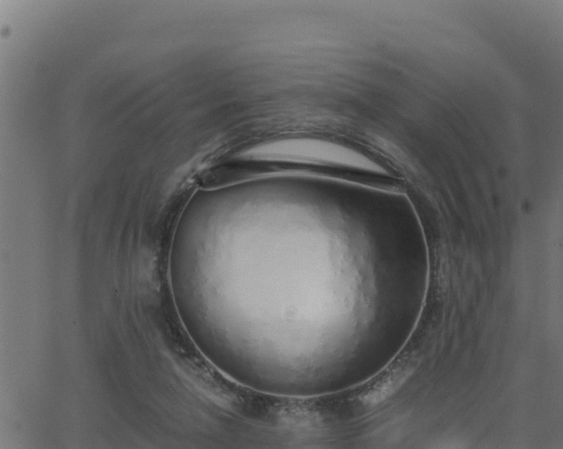 X0000062880258200601171455