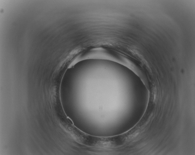 X0000062880260200601171455