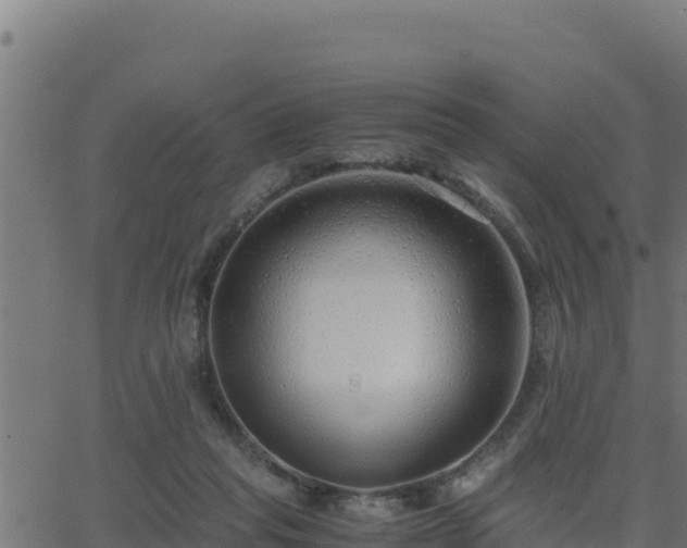 X0000062880261200601171455