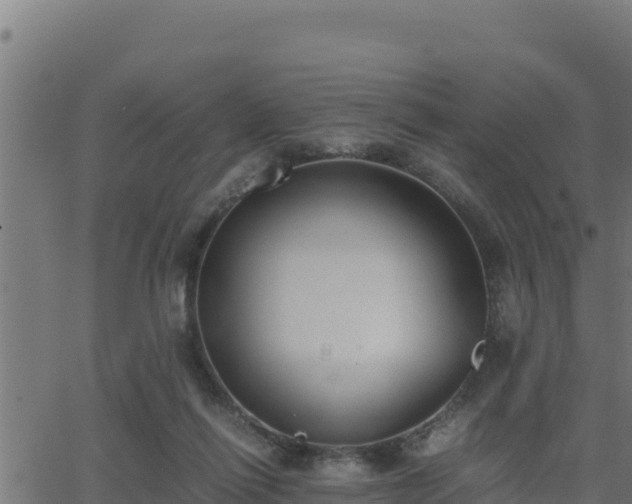 X0000062880262200601171455