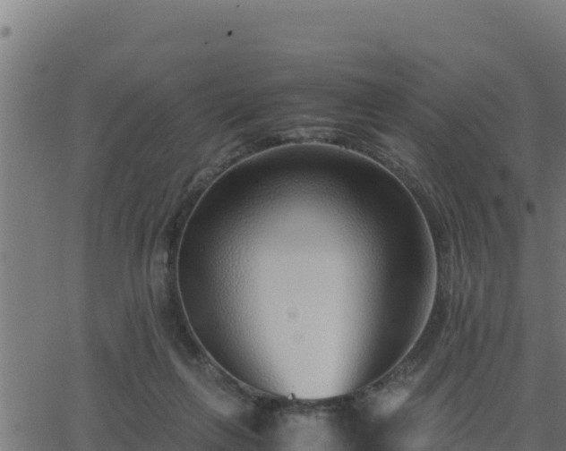 X0000062880263200601171455