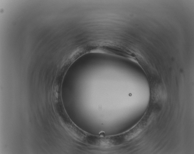 X0000062880264200601171455