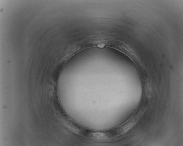 X0000062880265200601171455